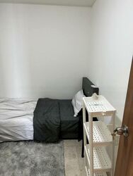 The Lakefront Residences (D22), Condominium #462986671